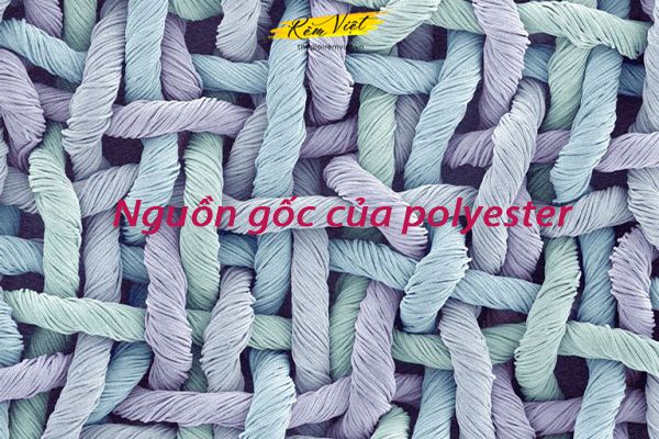 Nguồn gốc của polyester là gì
