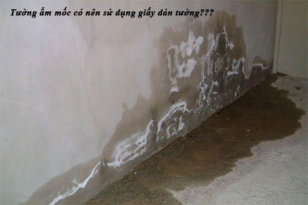 Tường ẩm mốc có nên sử dụng giấy dán tường
